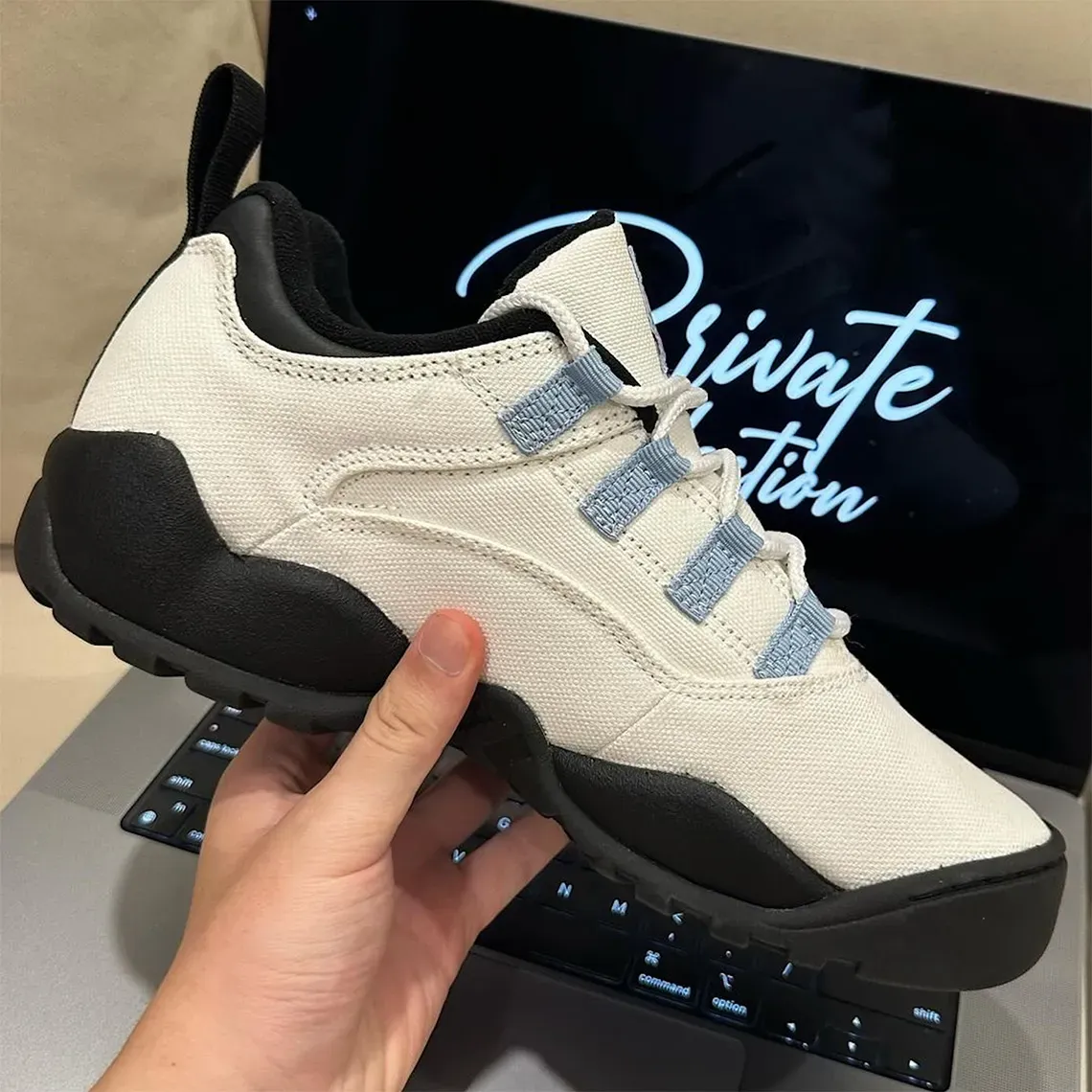 Supreme transforme la Nike Air Darwin Low en chaussure de skate